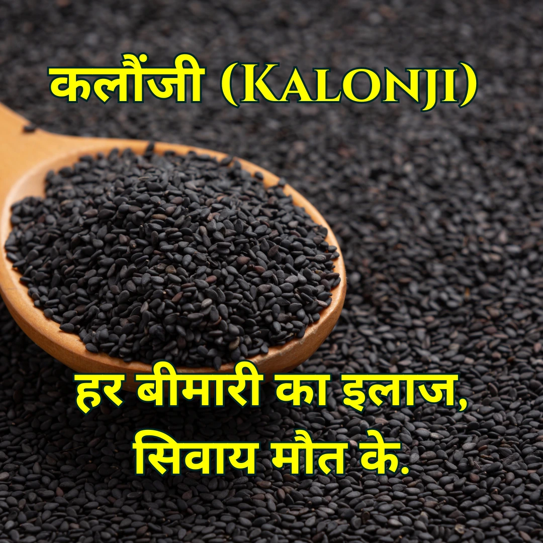 Kalonji, Kalonji Seeds