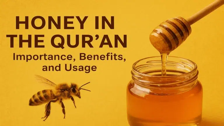 Honey in the Quran: Importance, Benefits, and Islamic Usage